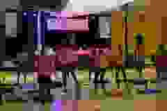 43473485_2018330221543140_3809189233348837376_n