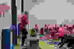 43500705_2018329851543177_4475837950906597376_n